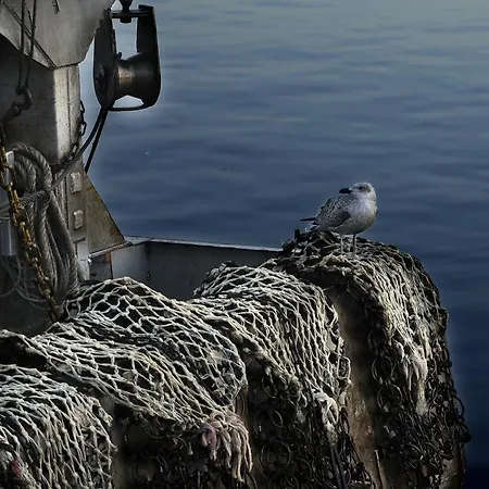 Apartment Location Honfleur