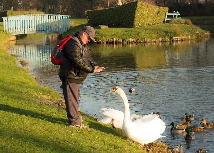 Location أونفلور